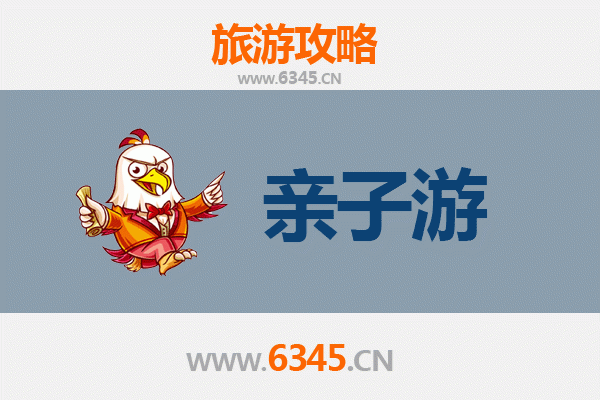 成都亲子游全攻略：带娃畅玩熊猫基地与美食之旅